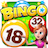 BingoCasino icon