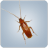 Mr. Cockroach icon