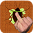 Roaches Smash icon