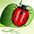 Save The Beetle icon