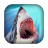 Descargar Shark Safari