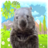 Sneaky Wombat icon