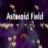 Asteroid Field APK Download