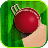 Bing Bong Cricket icon