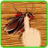 Bug Smasher - Kids Games APK Download