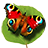 Butterflies icon