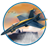 A Dangerous Hobby Navy Jet Fighter icon