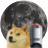 DOGEQUEST icon
