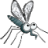 Flappy Dengue icon