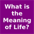 What is the Meaning of Life icon