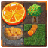 Rolling Fruits icon