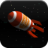 Space Express icon