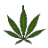 Weed Trip icon