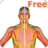 Health by Acupressure - 3D Free icon
