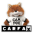 CARFAX version 2.7.1