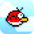 Bolo Bird icon