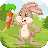 Jumping Bunny icon