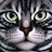 Mad for Cats icon