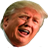 Trump The Wall icon