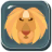Lion Tycoon icon