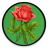 Herbs and Flowers icon