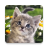 99 Kittens - Puzzle icon