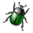 BeetleCatch icon
