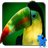 Birdies LWP + Games Puzzle icon