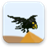 Black Drongo icon