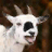 3D Yelling Goat Slots - Free icon