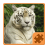 Jungle Animals Puzzle icon