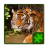 Wild Animals Puzzle version 1.1