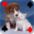 Baby Animal Solitaire icon