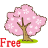 Sakura Collect icon