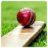 Cricket Hit Ball icon