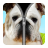 Dog Zipper icon