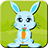 Funny Bunny Crazy Time icon