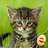Jigsaw Kittens Puzzle Free icon