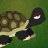 Grumpy Turtle icon