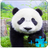 Panda LWP + Games Puzzle icon