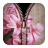 Pink Flowers Zipper icon