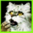 Mouse Screamer for Cat _ Pet icon