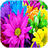 ColorfulFlower icon