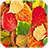 FallFoliage icon