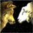 Wolf and Sheep icon