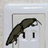 The Click Beetle icon