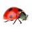 Base Jumping Ladybug 1.999
