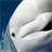 Beluga whale Puzzle icon