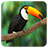 BirdPuzzle icon