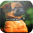 Brussels Griffon Game icon